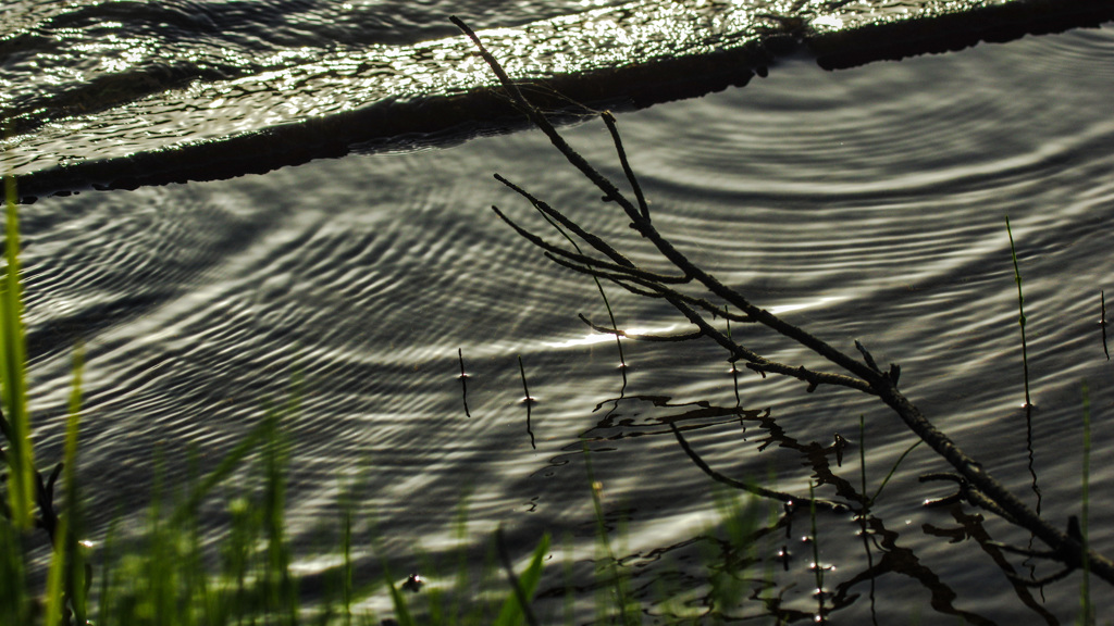 キングコング西野さん　ありがとう