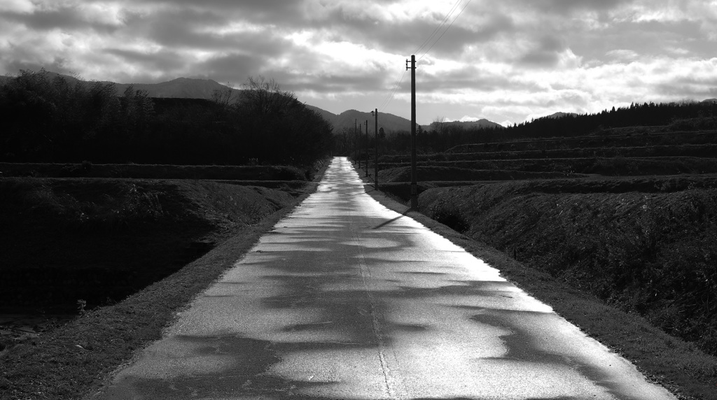 田舎の ジャクソン・ブラウンで出ています