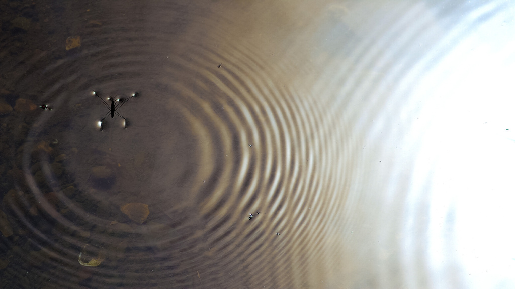 自動車税　納税通知書