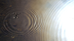 自動車税　納税通知書