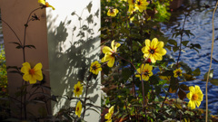 放課後はすこしだけさびしい