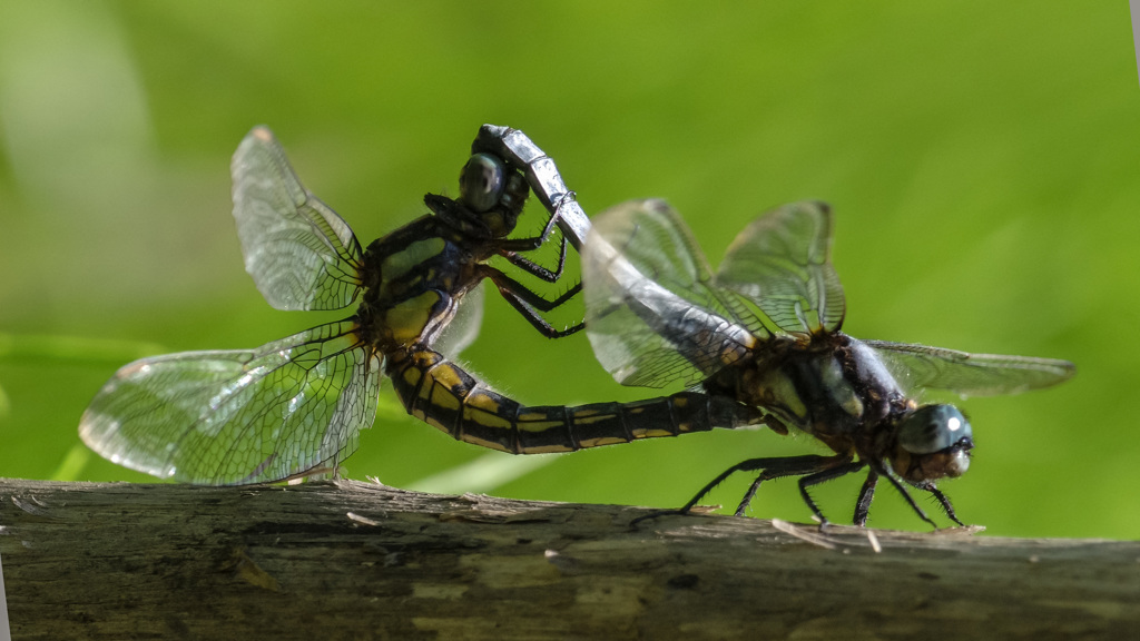 　-7  どうなってるの？