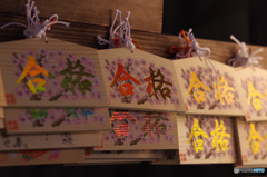 いよいよ春です