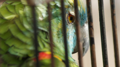 石川動物園にて -1