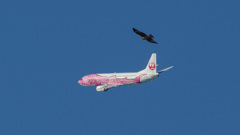 スクランブル！