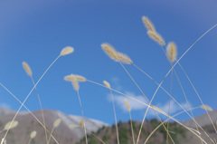 なぜシャッター押した