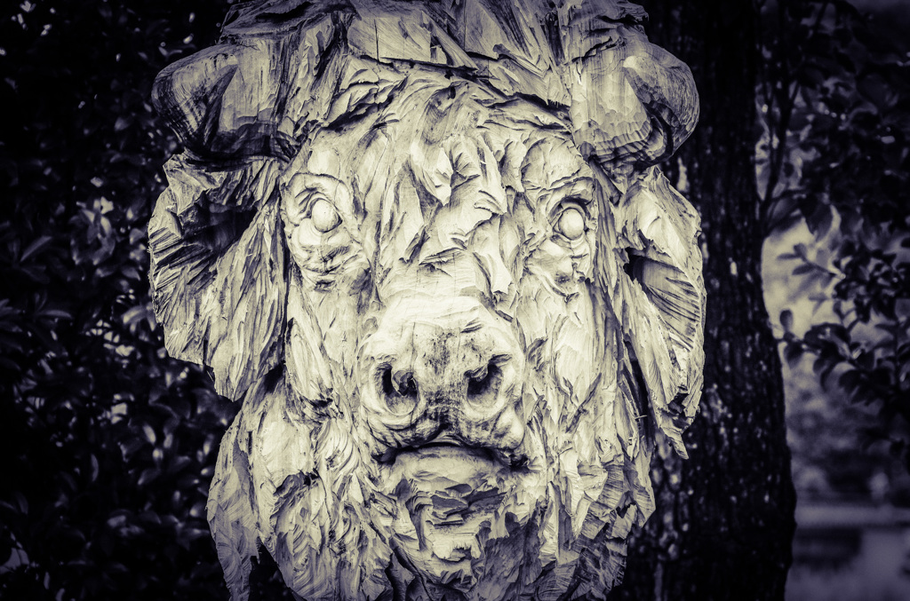 2020 0725 Toyama Inami