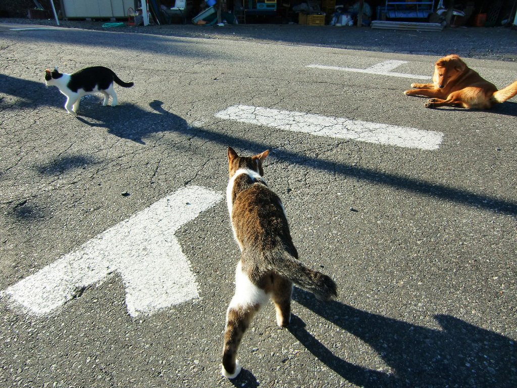 長野南部のとある