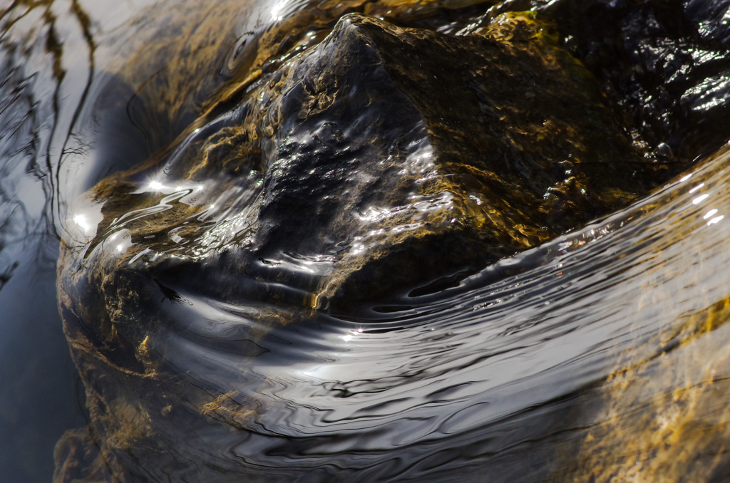 テルヲ死ス 20210319