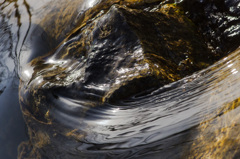 テルヲ死ス 20210319