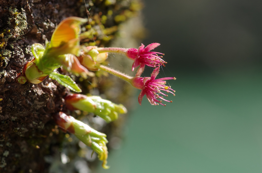 　-3/3 これからです