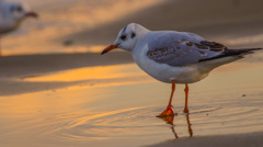 海の見える小高い中腹で