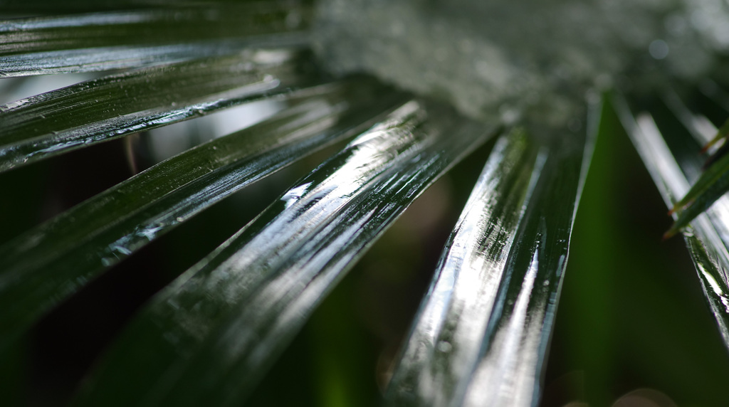 128　2020冬至ハード