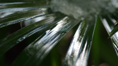 128　2020冬至ハード