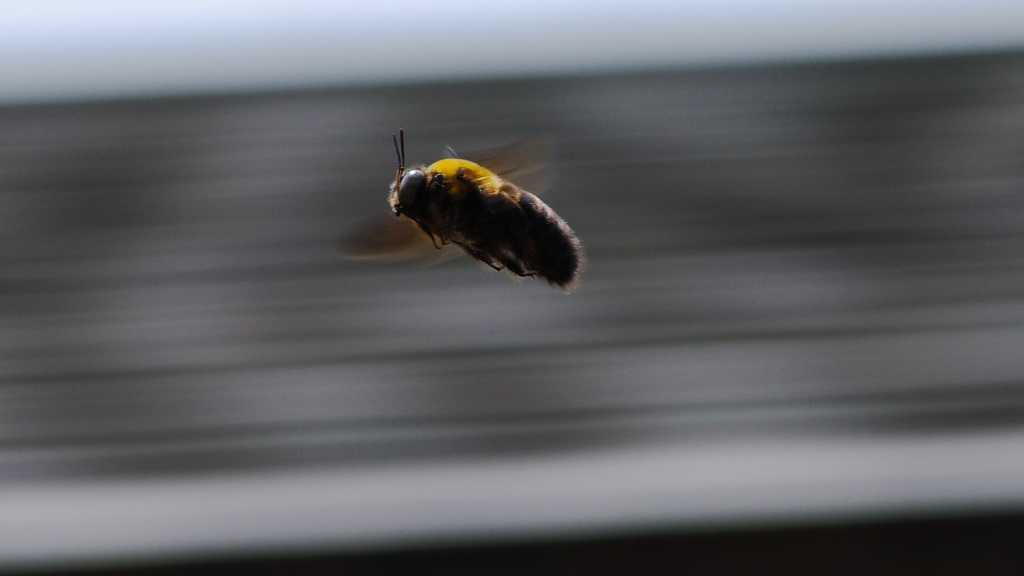 ある日の出来事 -Ⅴ