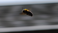 ある日の出来事 -Ⅴ