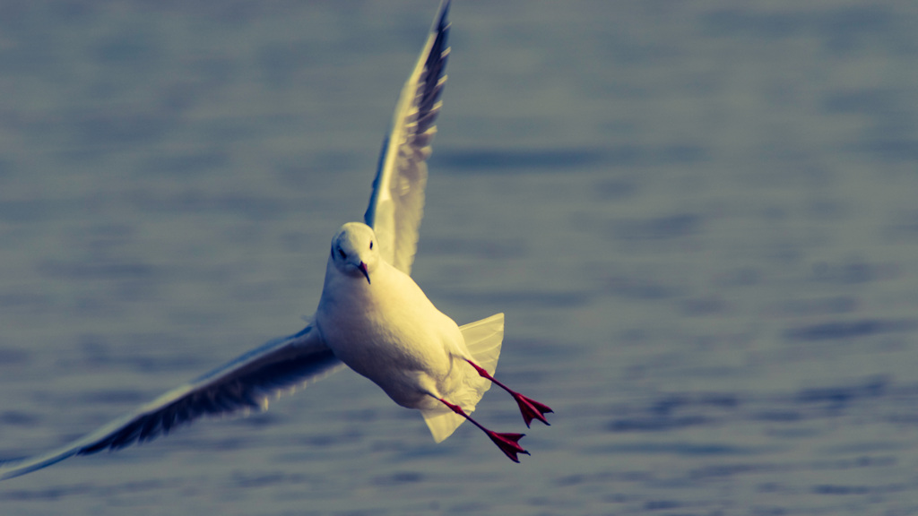 And When We Are Young