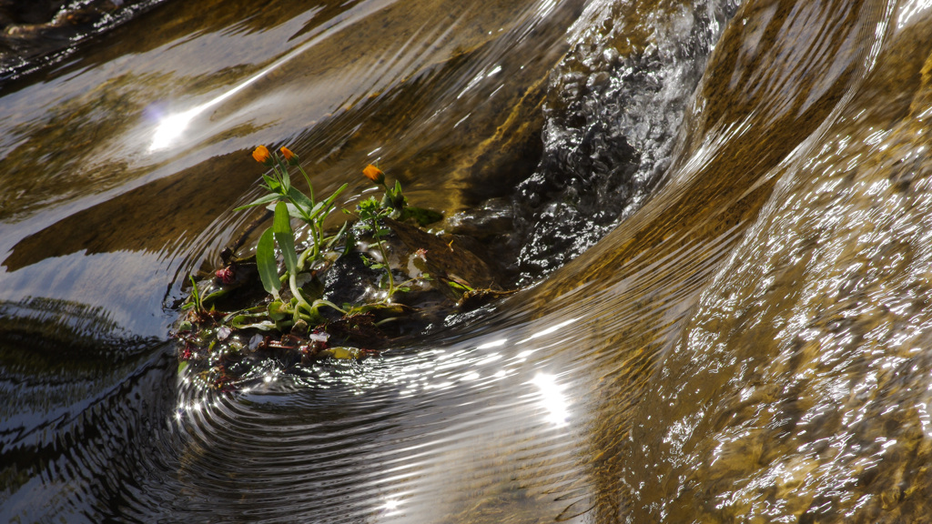 どうして頑張るの