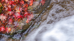  -112 　来週、雪かな