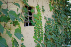 小屋