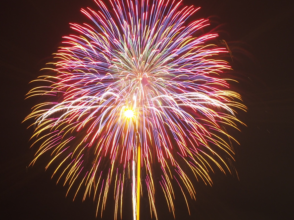 街灯もヾﾉ∀`)