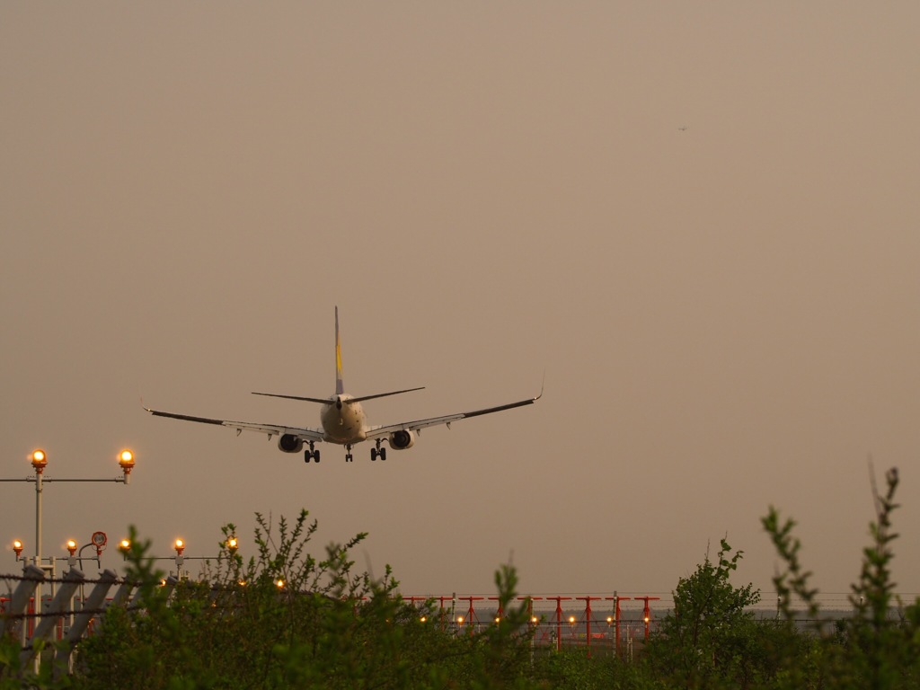 着陸しま〜す♪