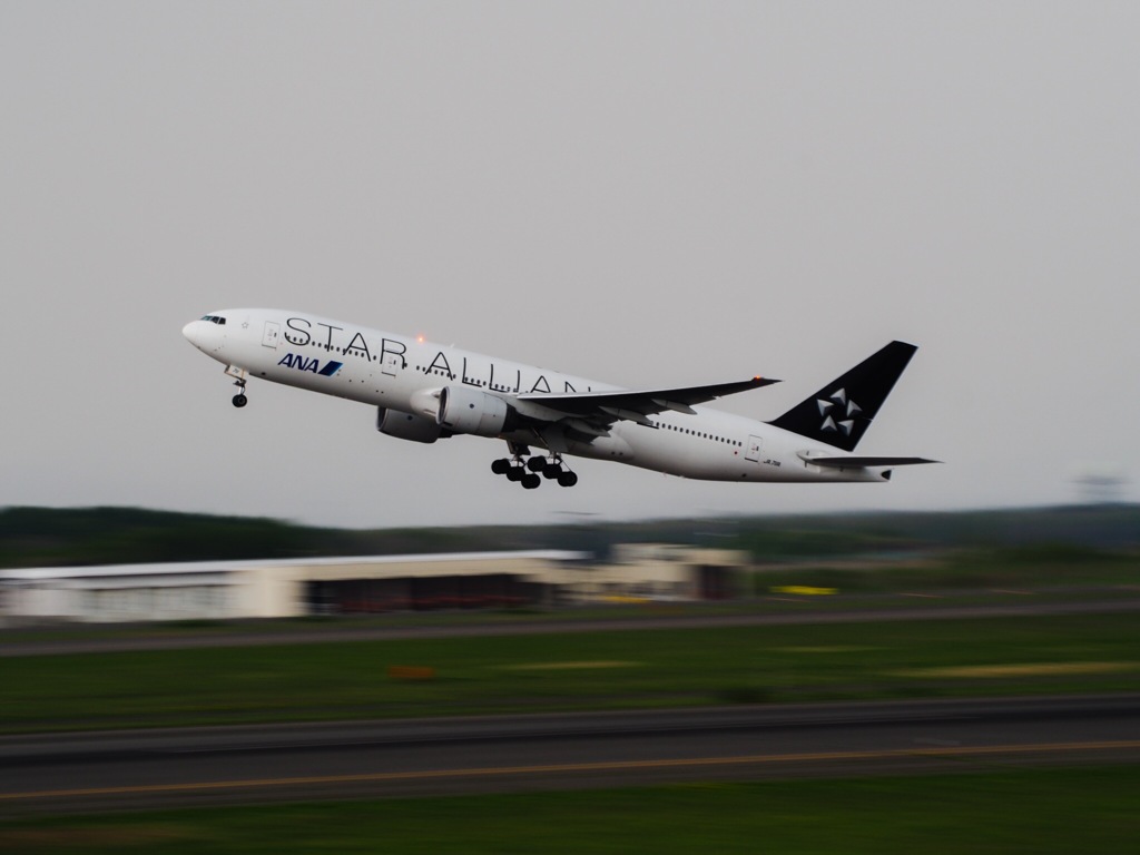 乗せて〜(人´∀｀)