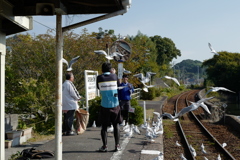 カモメと一緒に記念撮影
