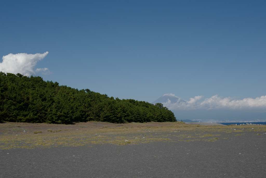 三保の松原の富士山