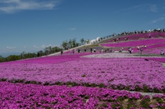 天空の花回廊