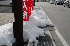 とにかく雪がめずらしくてすいません