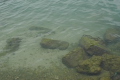 透きとおった海