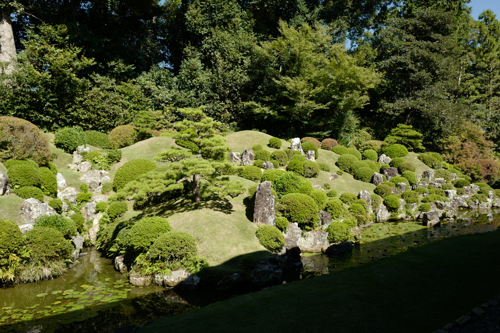 日本庭園
