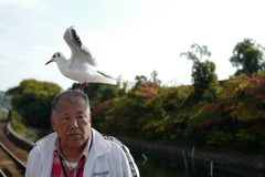 餌をねだって