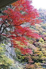 茨城・袋田の滝紅葉４