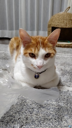 休憩中。。。