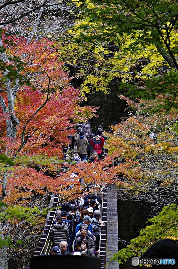 茨城・花貫渓谷紅葉５