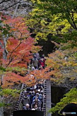 茨城・花貫渓谷紅葉５