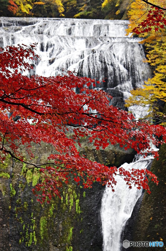 茨城・袋田の滝紅葉３