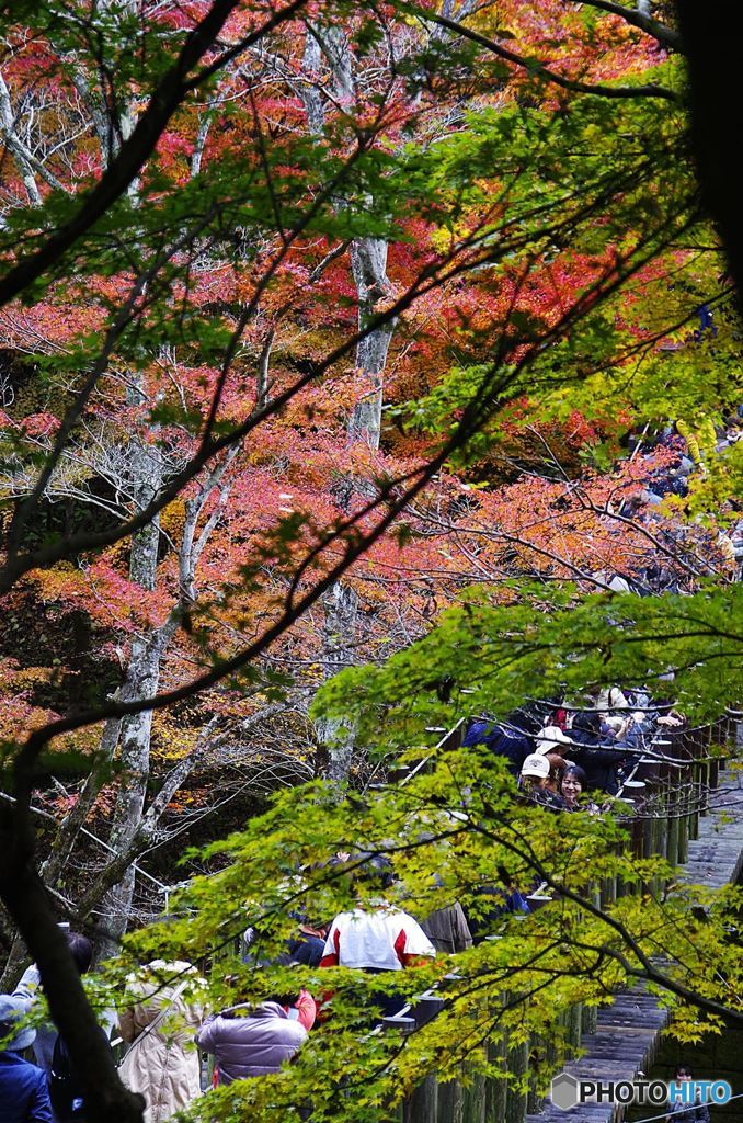 茨城・花貫渓谷紅葉４