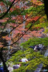 茨城・花貫渓谷紅葉４