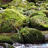 茨城・花貫渓谷紅葉７