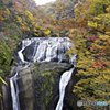 茨城・袋田の滝紅葉５