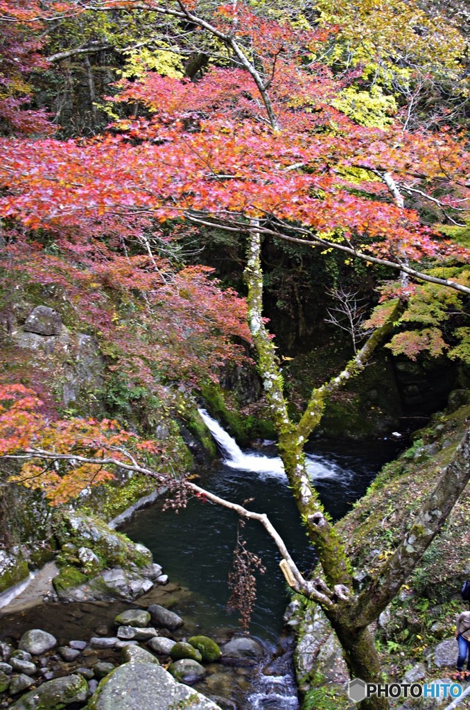 茨城・花貫渓谷紅葉３