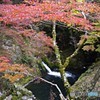 茨城・花貫渓谷紅葉３