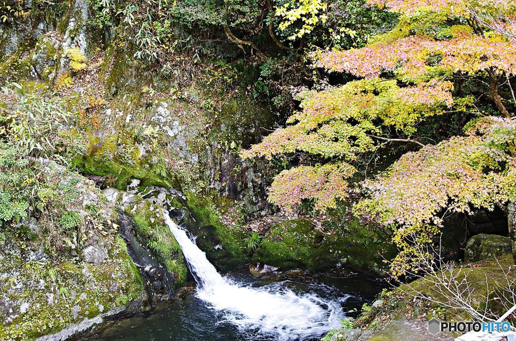 茨城・花貫渓谷紅葉２