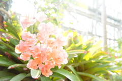 2016030501