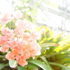 2016030501