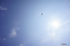 Over