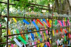 如意輪寺〜風鈴まつり〜②